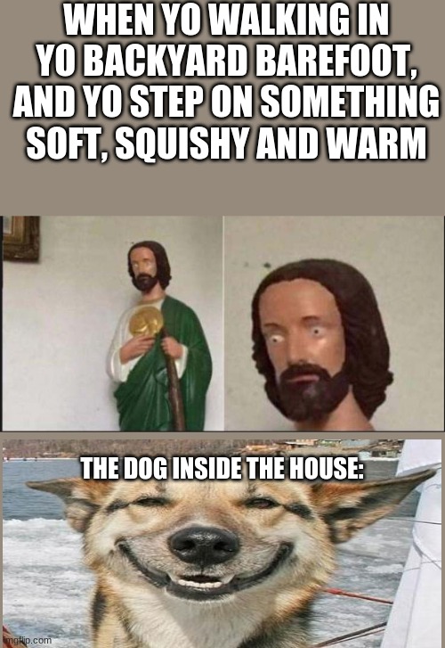 why... | WHEN YO WALKING IN YO BACKYARD BAREFOOT, AND YO STEP ON SOMETHING SOFT, SQUISHY AND WARM; THE DOG INSIDE THE HOUSE: | image tagged in wide eyed jesus | made w/ Imgflip meme maker