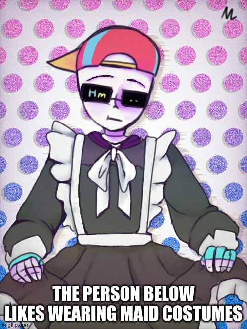 THE PERSON BELOW LIKES WEARING MAID COSTUMES | made w/ Imgflip meme maker