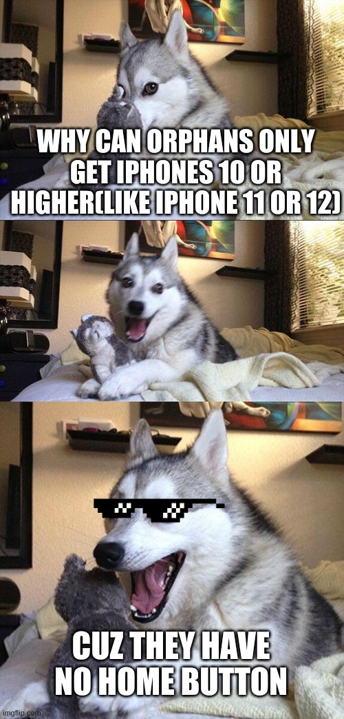 E | WHY CAN ORPHANS ONLY GET IPHONES 10 OR HIGHER(LIKE IPHONE 11 OR 12); CUZ THEY HAVE NO HOME BUTTON | image tagged in memes,bad pun dog | made w/ Imgflip meme maker