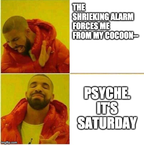 Drake Hotline approves | THE SHRIEKING ALARM
FORCES ME FROM MY COCOON--; PSYCHE. IT'S SATURDAY | image tagged in drake hotline approves | made w/ Imgflip meme maker
