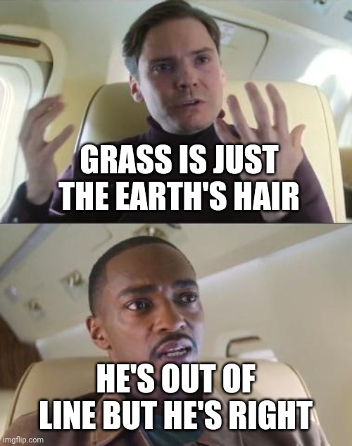 Grass | GRASS IS JUST THE EARTH'S HAIR; HE'S OUT OF LINE BUT HE'S RIGHT | image tagged in out of line but he's right,captain america,fun | made w/ Imgflip meme maker