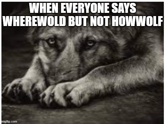WHEN EVERYONE SAYS WHEREWOLD BUT NOT HOWWOLF | image tagged in memes | made w/ Imgflip meme maker