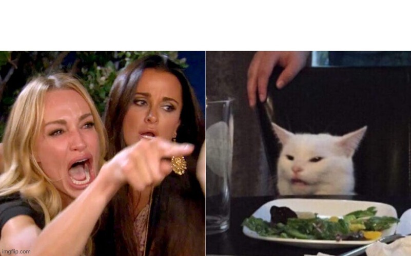 person yelling at cat in restaurant | image tagged in cats,funny cats,funny,woman yelling at cat | made w/ Imgflip meme maker