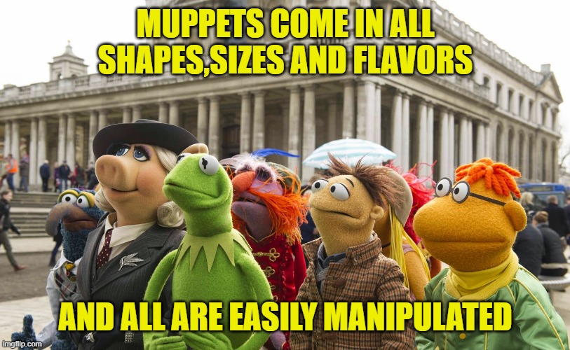 MUPPETS COME IN ALL SHAPES,SIZES AND FLAVORS AND ALL ARE EASILY MANIPULATED | made w/ Imgflip meme maker