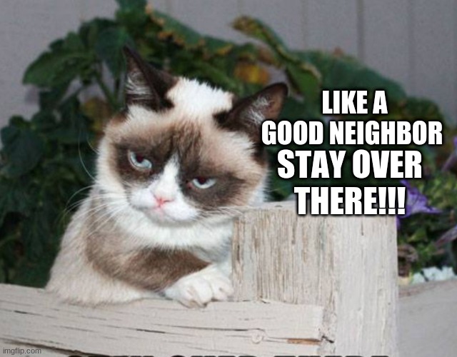 I found this as a Mask. Can I borrow like 20 bucks? | LIKE A GOOD NEIGHBOR; STAY OVER THERE!!! | image tagged in grumpy cat | made w/ Imgflip meme maker