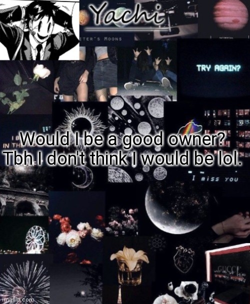 Yachi's temp | Would I be a good owner?
Tbh I don't think I would be lol. | image tagged in yachi's temp | made w/ Imgflip meme maker