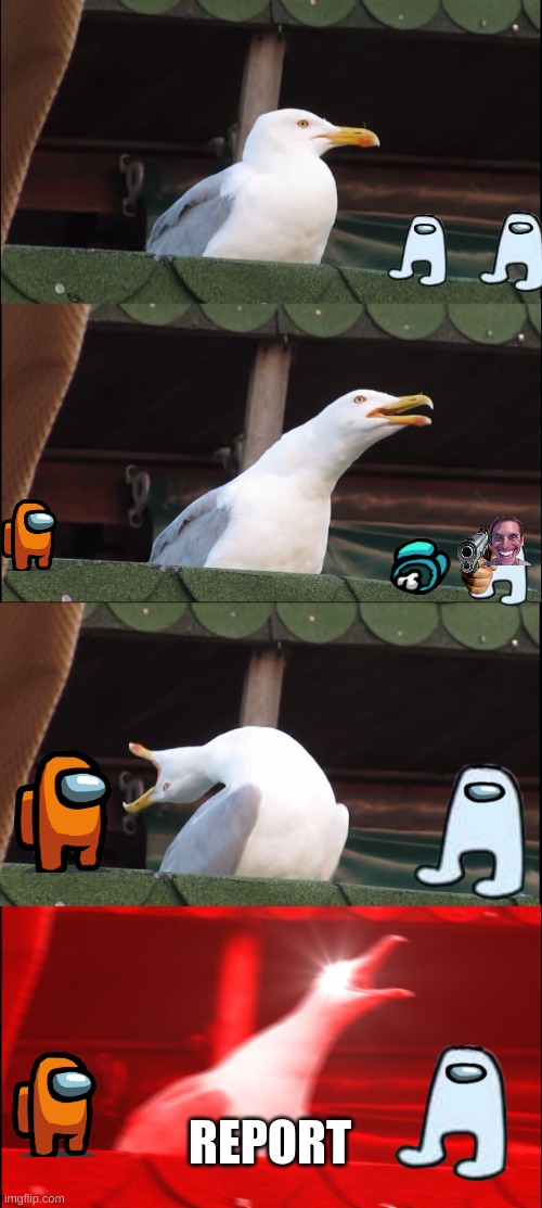 sus | REPORT | image tagged in memes,inhaling seagull | made w/ Imgflip meme maker