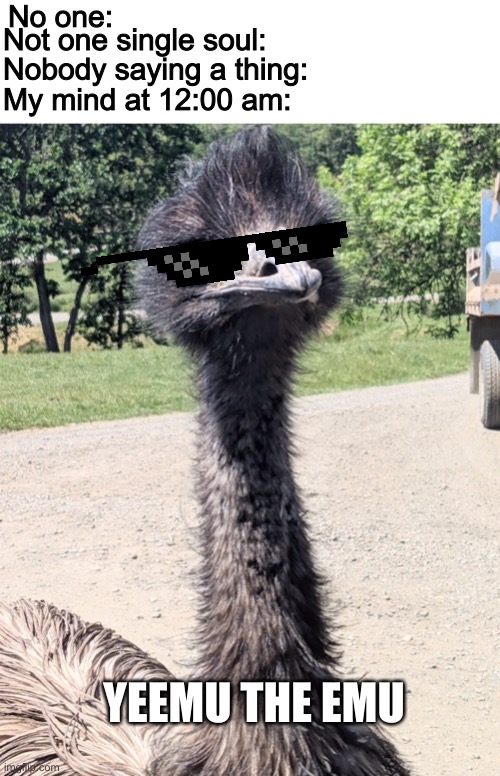 YeeMu The Emu | No one:; My mind at 12:00 am:; Not one single soul:; Nobody saying a thing:; YEEMU THE EMU | image tagged in yeemu the emu | made w/ Imgflip meme maker