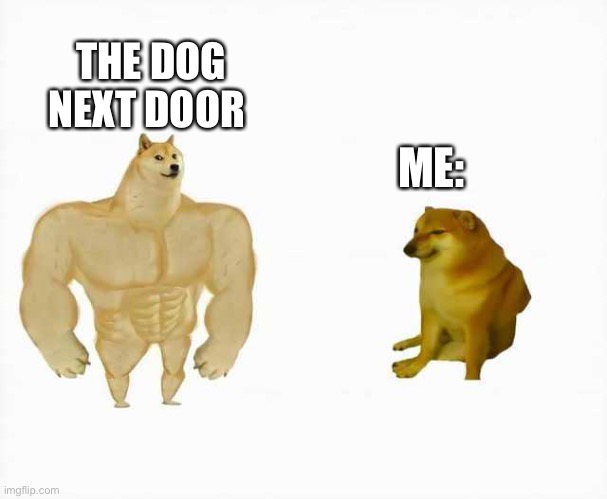 Strong dog vs weak dog | THE DOG NEXT DOOR; ME: | image tagged in strong dog vs weak dog | made w/ Imgflip meme maker