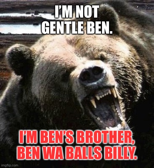 Ben Wa Balls Billy | I’M NOT GENTLE BEN. I’M BEN’S BROTHER, BEN WA BALLS BILLY. | image tagged in angry bear,memes,bad joke,dirty joke,ben,billy | made w/ Imgflip meme maker