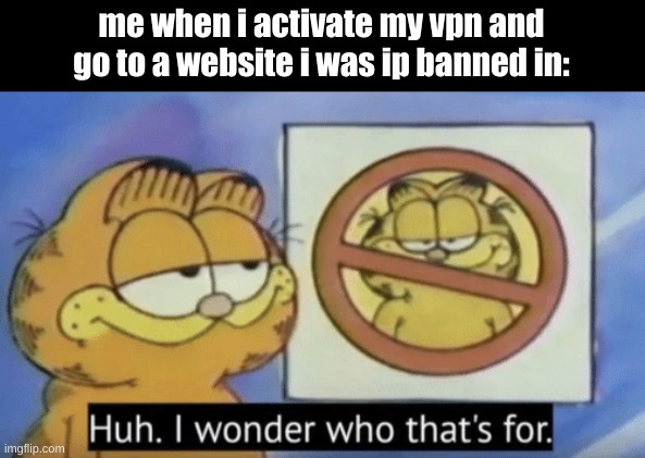banned | me when i activate my vpn and go to a website i was ip banned in: | image tagged in garfield wonders | made w/ Imgflip meme maker