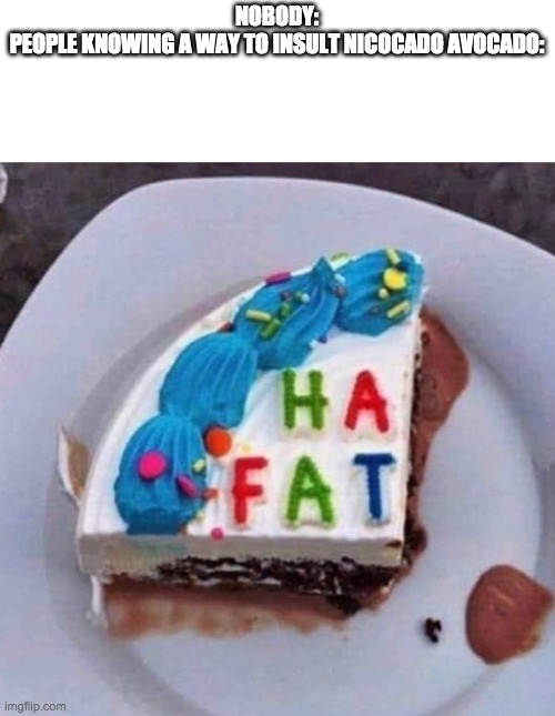 Ha fat | NOBODY:
PEOPLE KNOWING A WAY TO INSULT NICOCADO AVOCADO: | image tagged in ha fat | made w/ Imgflip meme maker