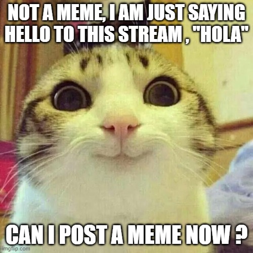 Well, hello there | NOT A MEME, I AM JUST SAYING HELLO TO THIS STREAM , "HOLA"; CAN I POST A MEME NOW ? | image tagged in well hello there | made w/ Imgflip meme maker