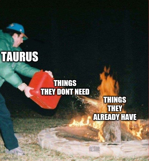 Oil on a Fire | TAURUS; THINGS THEY DONT NEED; THINGS THEY ALREADY HAVE | image tagged in oil on a fire | made w/ Imgflip meme maker