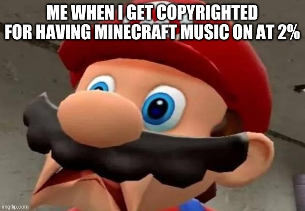 Mario WTF | ME WHEN I GET COPYRIGHTED FOR HAVING MINECRAFT MUSIC ON AT 2% | image tagged in mario wtf | made w/ Imgflip meme maker