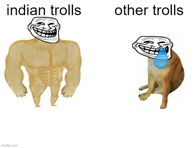 Buff Doge vs. Cheems Meme | indian trolls; other trolls | image tagged in memes,buff doge vs cheems | made w/ Imgflip meme maker