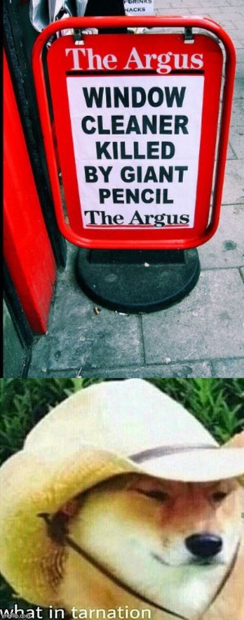 Giant pencil | image tagged in what in tarnation dog,dark humor,news,signs,memes,pencil | made w/ Imgflip meme maker