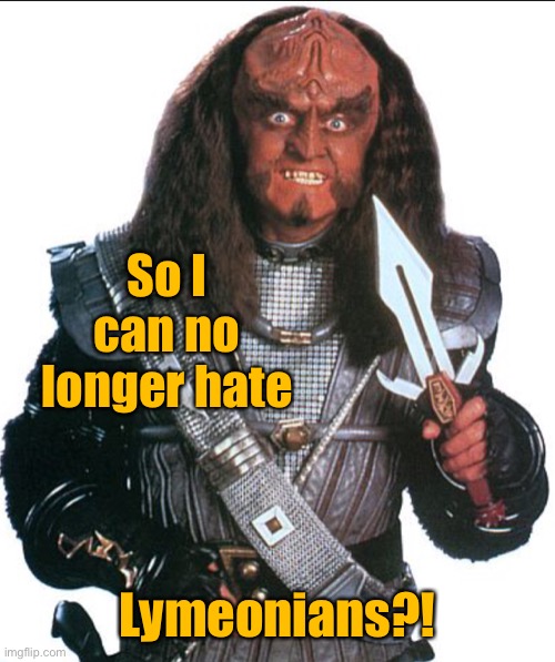Klingon Warrior | So I can no longer hate Lymeonians?! | image tagged in klingon warrior | made w/ Imgflip meme maker
