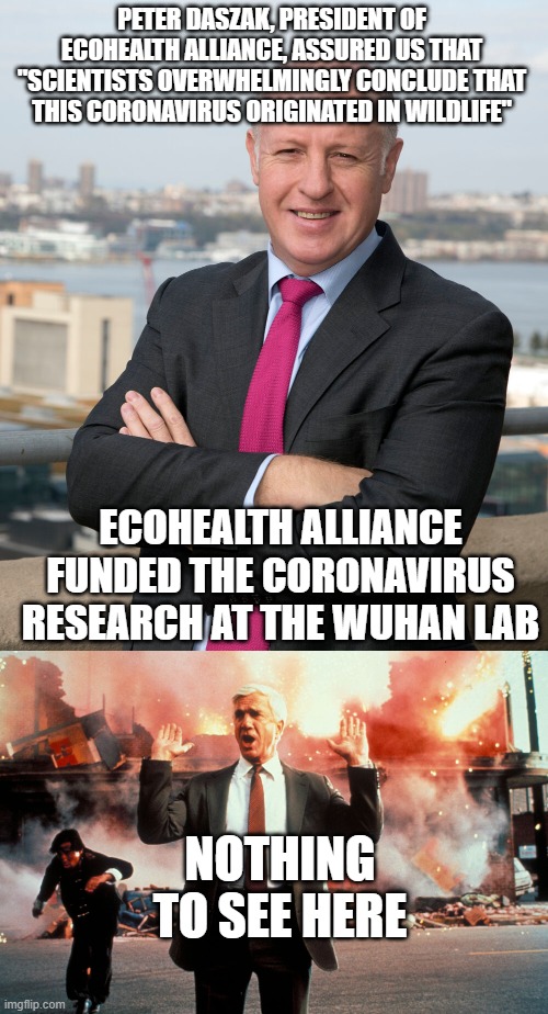 PETER DASZAK, PRESIDENT OF ECOHEALTH ALLIANCE, ASSURED US THAT "SCIENTISTS OVERWHELMINGLY CONCLUDE THAT THIS CORONAVIRUS ORIGINATED IN WILDLIFE"; ECOHEALTH ALLIANCE FUNDED THE CORONAVIRUS RESEARCH AT THE WUHAN LAB; NOTHING TO SEE HERE | image tagged in nothing to see here | made w/ Imgflip meme maker