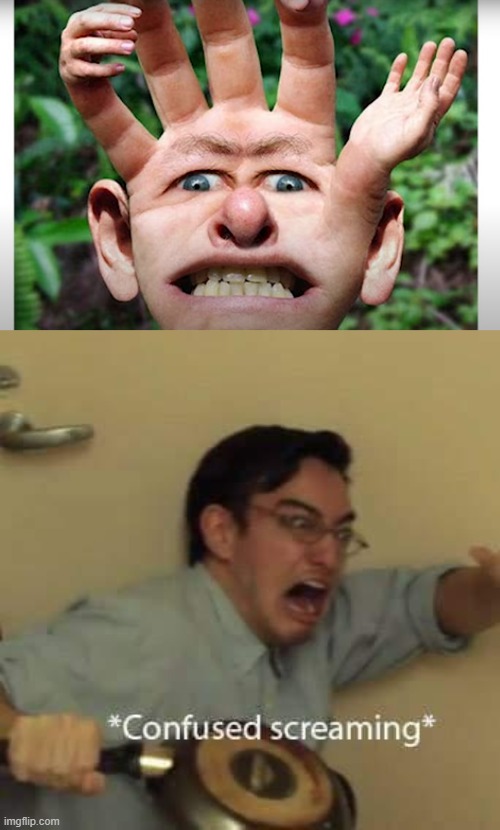 words cant describe........thing | image tagged in filthy frank confused scream | made w/ Imgflip meme maker