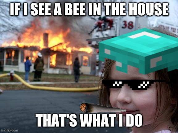 How I fell | IF I SEE A BEE IN THE HOUSE; THAT'S WHAT I DO | image tagged in yall got any more of | made w/ Imgflip meme maker
