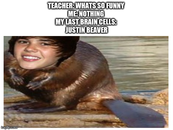 why did i do this -_- | TEACHER: WHATS SO FUNNY 
ME: NOTHING 
MY LAST BRAIN CELLS: 
JUSTIN BEAVER | image tagged in meme | made w/ Imgflip meme maker