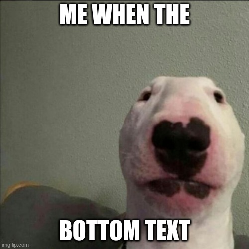 Me when the when the | ME WHEN THE; BOTTOM TEXT | image tagged in funny memes,farting | made w/ Imgflip meme maker
