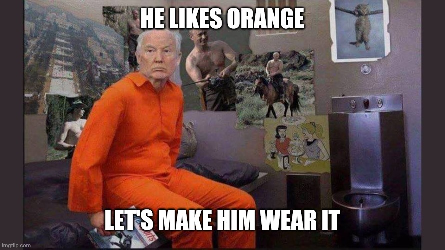 Trump jail cell | HE LIKES ORANGE LET'S MAKE HIM WEAR IT | image tagged in trump jail cell | made w/ Imgflip meme maker