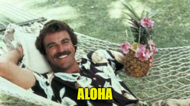 Hawaiian Tom Selleck | ALOHA | image tagged in hawaiian tom selleck | made w/ Imgflip meme maker