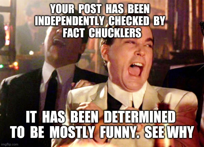 Fact Chucklers | YOUR  POST  HAS  BEEN  
INDEPENDENTLY  CHECKED  BY  
FACT  CHUCKLERS; IT  HAS  BEEN  DETERMINED  TO  BE  MOSTLY  FUNNY.  SEE WHY | image tagged in memes,good fellas hilarious | made w/ Imgflip meme maker
