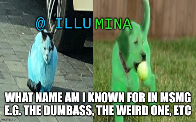 illumina new temp | WHAT NAME AM I KNOWN FOR IN MSMG
E.G. THE DUMBASS, THE WEIRD ONE, ETC | image tagged in illumina new temp | made w/ Imgflip meme maker