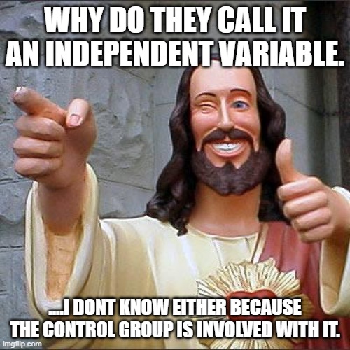 Buddy Christ Meme | WHY DO THEY CALL IT AN INDEPENDENT VARIABLE. ....I DONT KNOW EITHER BECAUSE THE CONTROL GROUP IS INVOLVED WITH IT. | image tagged in memes,buddy christ | made w/ Imgflip meme maker