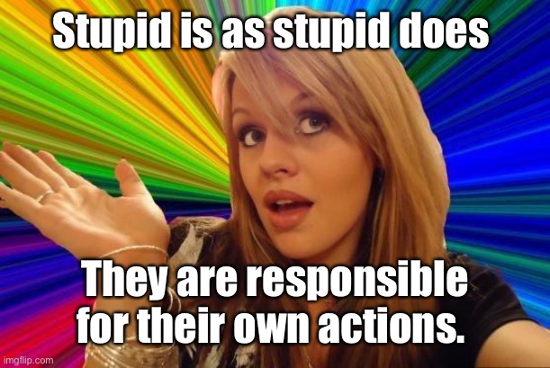 Dumb Blonde Meme | Stupid is as stupid does They are responsible for their own actions. | image tagged in memes,dumb blonde | made w/ Imgflip meme maker