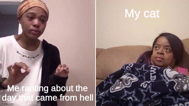 Ranting to my cat | My cat; Me ranting about the day that came from hell | image tagged in me explaining to my mom,bad day,middle school,cats,oh wow are you actually reading these tags | made w/ Imgflip meme maker