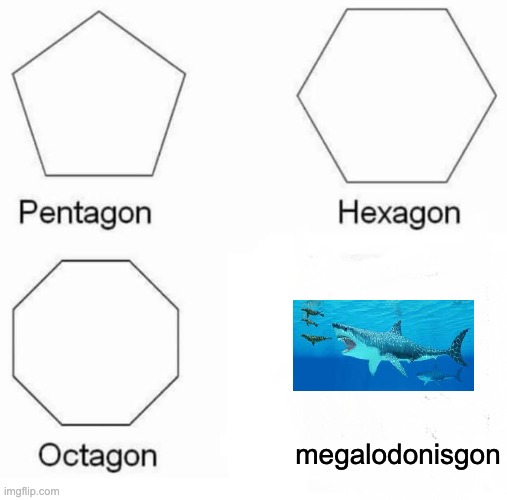 Pentagon Hexagon Octagon Meme | megalodonisgon | image tagged in memes,pentagon hexagon octagon | made w/ Imgflip meme maker