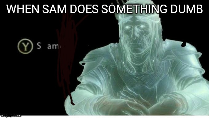 Sam | WHEN SAM DOES SOMETHING DUMB | image tagged in y sam | made w/ Imgflip meme maker