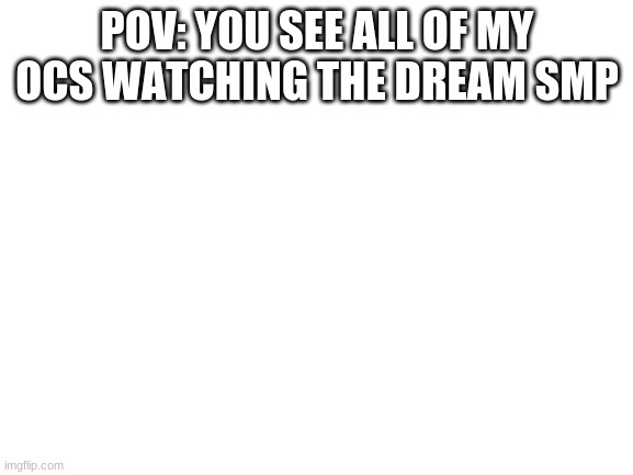 Blank White Template | POV: YOU SEE ALL OF MY OCS WATCHING THE DREAM SMP | image tagged in blank white template | made w/ Imgflip meme maker