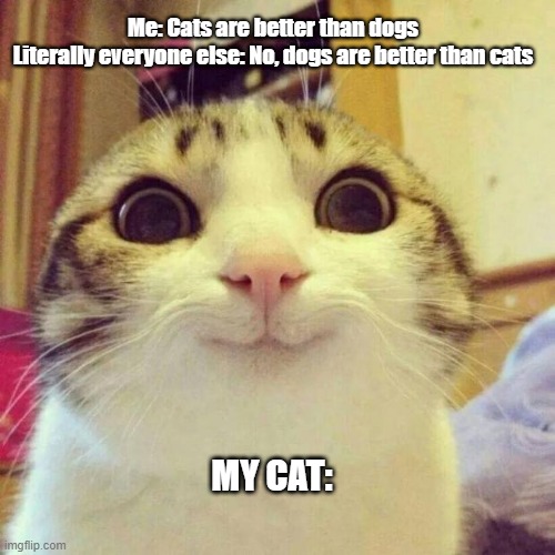 Me and my lonely obssession with cats | Me: Cats are better than dogs
Literally everyone else: No, dogs are better than cats; MY CAT: | image tagged in memes,smiling cat | made w/ Imgflip meme maker