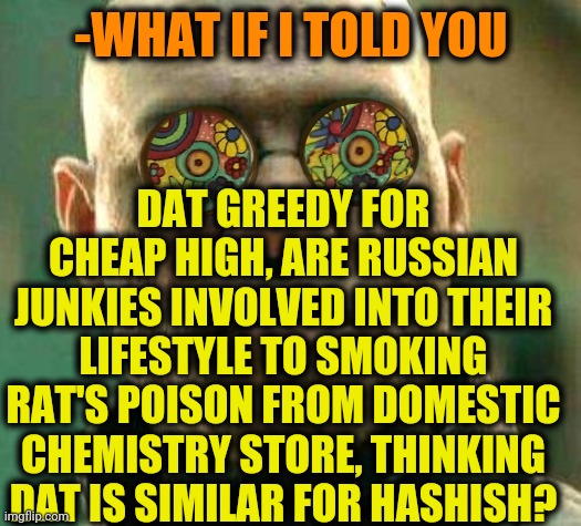 -Pity mind. | -WHAT IF I TOLD YOU; DAT GREEDY FOR CHEAP HIGH, ARE RUSSIAN JUNKIES INVOLVED INTO THEIR LIFESTYLE TO SMOKING RAT'S POISON FROM DOMESTIC CHEMISTRY STORE, THINKING DAT IS SIMILAR FOR HASHISH? | image tagged in acid kicks in morpheus,rat pack,domestic abuse,poison ivy,hashtags,smoking weed | made w/ Imgflip meme maker