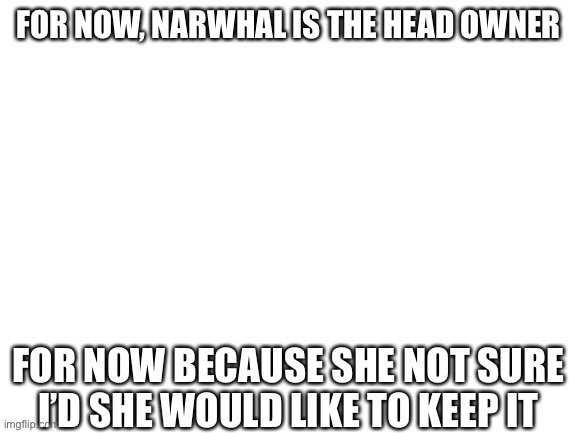 Image title | FOR NOW, NARWHAL IS THE HEAD OWNER; FOR NOW BECAUSE SHE NOT SURE I’D SHE WOULD LIKE TO KEEP IT | image tagged in blank white template,disney killed star wars,star wars kills disney | made w/ Imgflip meme maker