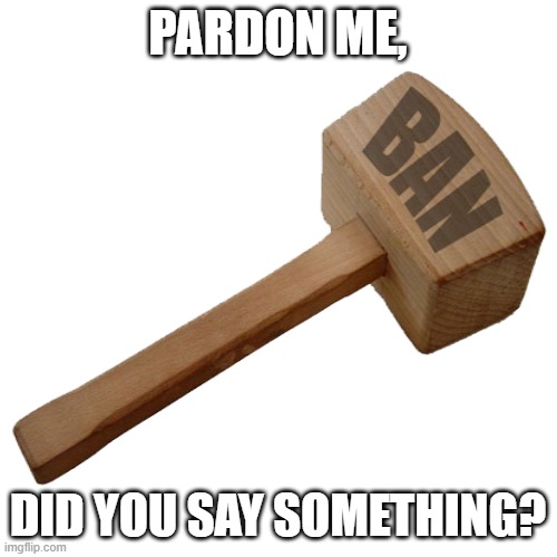 PARDON ME, DID YOU SAY SOMETHING? | made w/ Imgflip meme maker