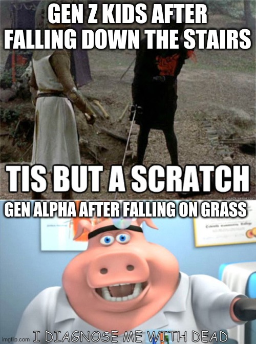 GEN Z KIDS AFTER FALLING DOWN THE STAIRS; GEN ALPHA AFTER FALLING ON GRASS; I DIAGNOSE ME WITH DEAD | image tagged in tis but a scratch,i diagnose you with dead | made w/ Imgflip meme maker