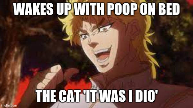 cat poops on bed dio meme | WAKES UP WITH POOP ON BED; THE CAT 'IT WAS I DIO' | image tagged in funny memes | made w/ Imgflip meme maker