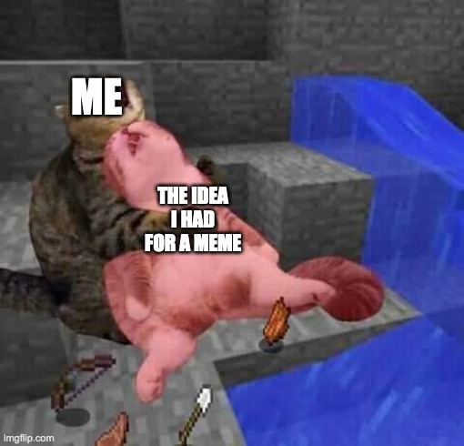 Dead minecraft cat meme | ME; THE IDEA I HAD FOR A MEME | image tagged in dead minecraft cat meme | made w/ Imgflip meme maker