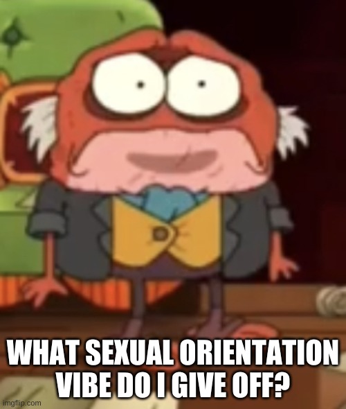bored | WHAT SEXUAL ORIENTATION VIBE DO I GIVE OFF? | image tagged in sad hop pop | made w/ Imgflip meme maker
