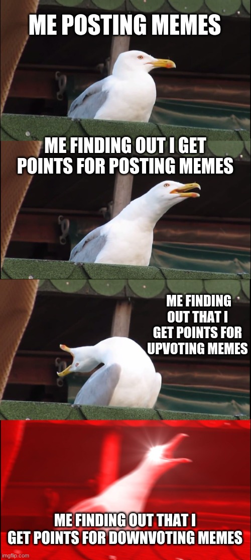 I AM THE MOST POWERFUL PERSON IN THE WORLD!!!! | ME POSTING MEMES; ME FINDING OUT I GET POINTS FOR POSTING MEMES; ME FINDING OUT THAT I GET POINTS FOR UPVOTING MEMES; ME FINDING OUT THAT I GET POINTS FOR DOWNVOTING MEMES | image tagged in memes,inhaling seagull | made w/ Imgflip meme maker