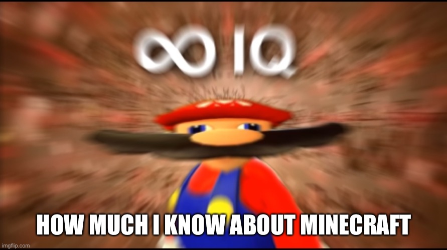 Infinity IQ Mario | HOW MUCH I KNOW ABOUT MINECRAFT | image tagged in infinity iq mario | made w/ Imgflip meme maker