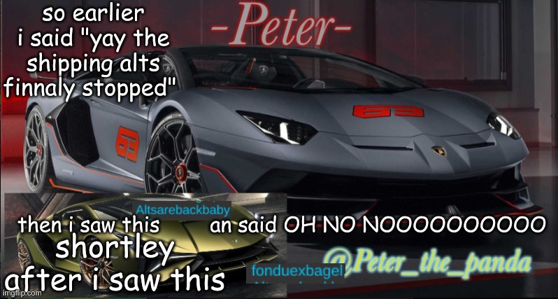 NOOOOOOOOOOOOOOOOOO | so earlier i said "yay the shipping alts finnaly stopped"; then i saw this        an said OH NO NOOOOOOOOOO; shortley after i saw this | image tagged in peter_the_panda template | made w/ Imgflip meme maker