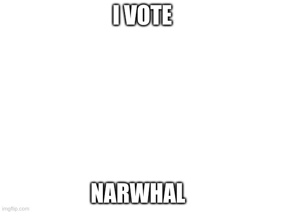 Blank White Template | I VOTE; NARWHAL | image tagged in blank white template | made w/ Imgflip meme maker