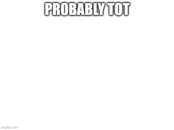 Blank White Template | PROBABLY TOT | image tagged in blank white template | made w/ Imgflip meme maker